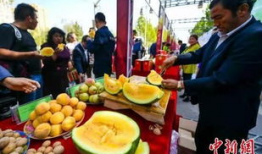 吃瓜最新事件爆料辽宁,最新事件背后的惊人真相